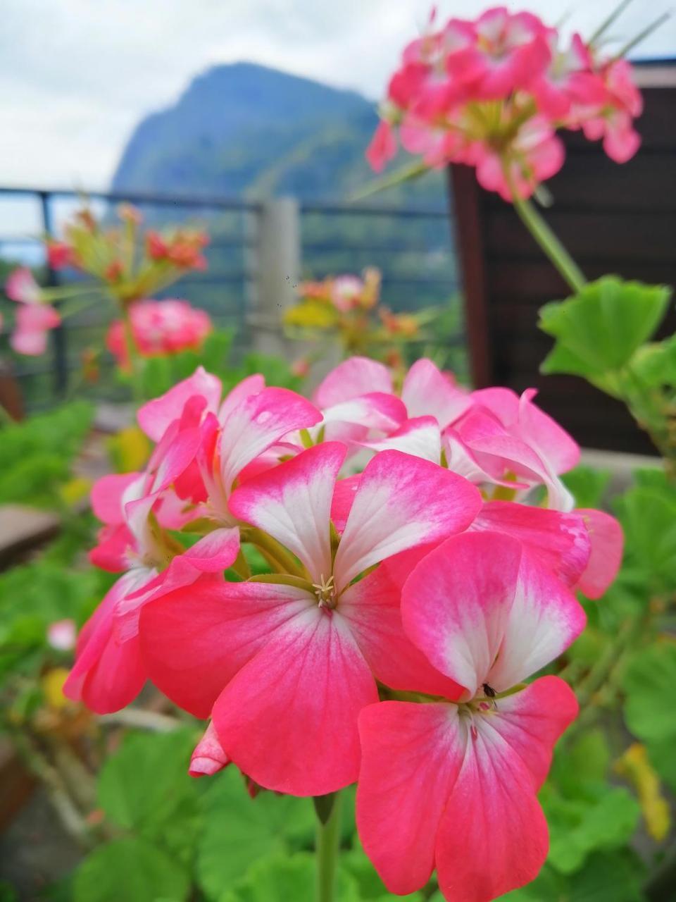 Zion View Ella Green Retreat ภายนอก รูปภาพ